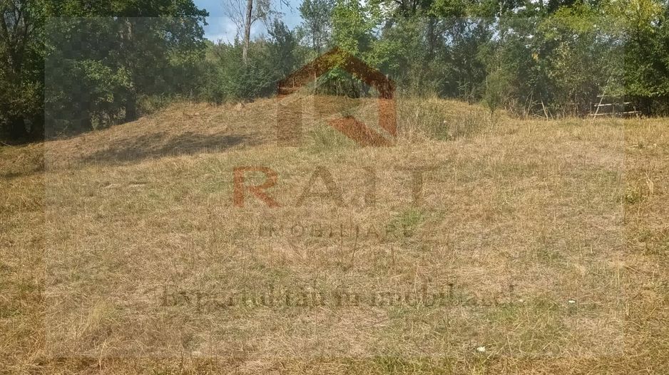 Teren de vanzare Coebeni-Turburea-Arges - Poză 4