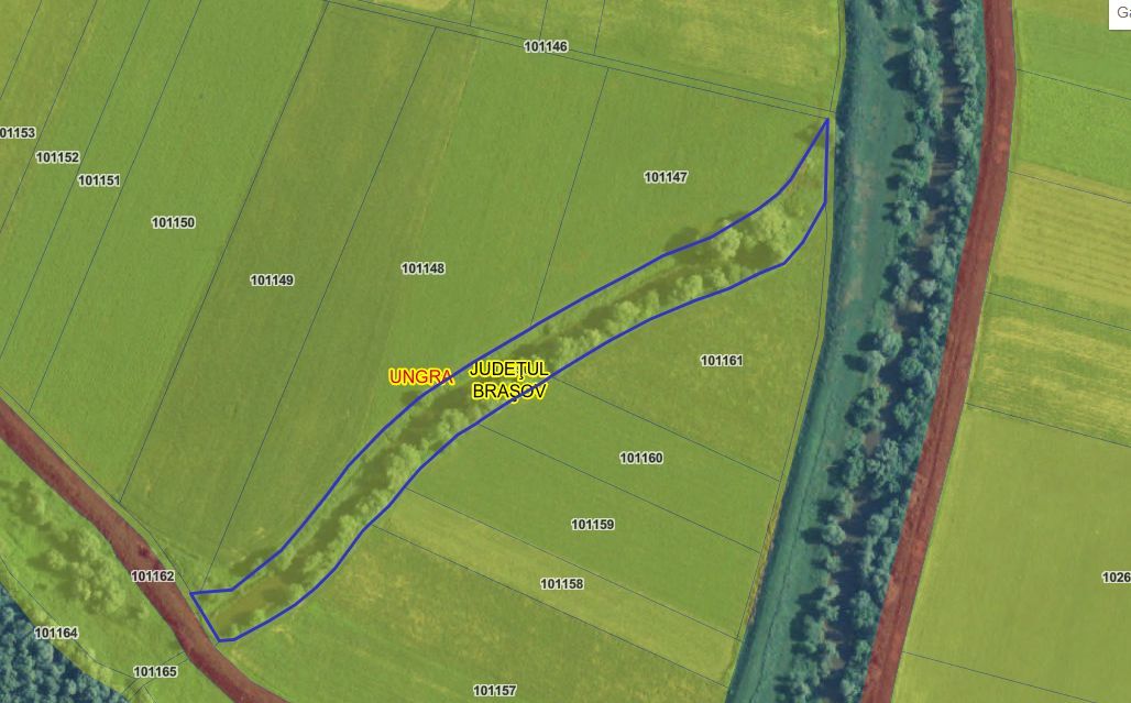 Afacere/Restaurant -Salon evenimente capacitate 600 persoane - Poză 31