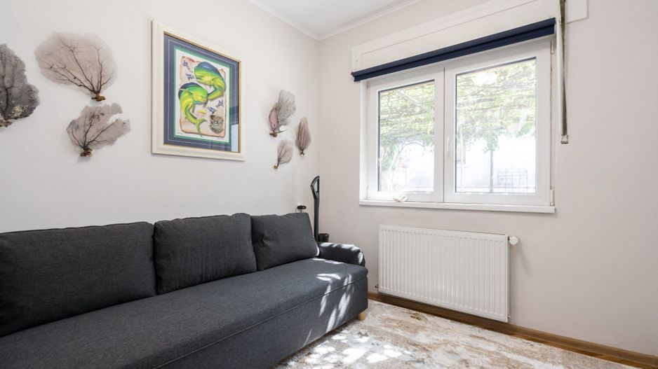 VILA REPREZENTATIVA ICOANEI - Poză 23