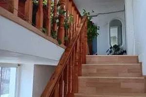 Casa Vladesti | Sat Priporu | 160 mpu | - Poză 3