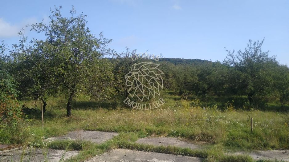 Teren 1500 mp - pretabil cabana/investitie - Zona Valea Rusului - Poză 4