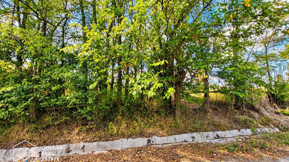 Teren intravilan, 1260 mp, localitate Ususau - Poză 3