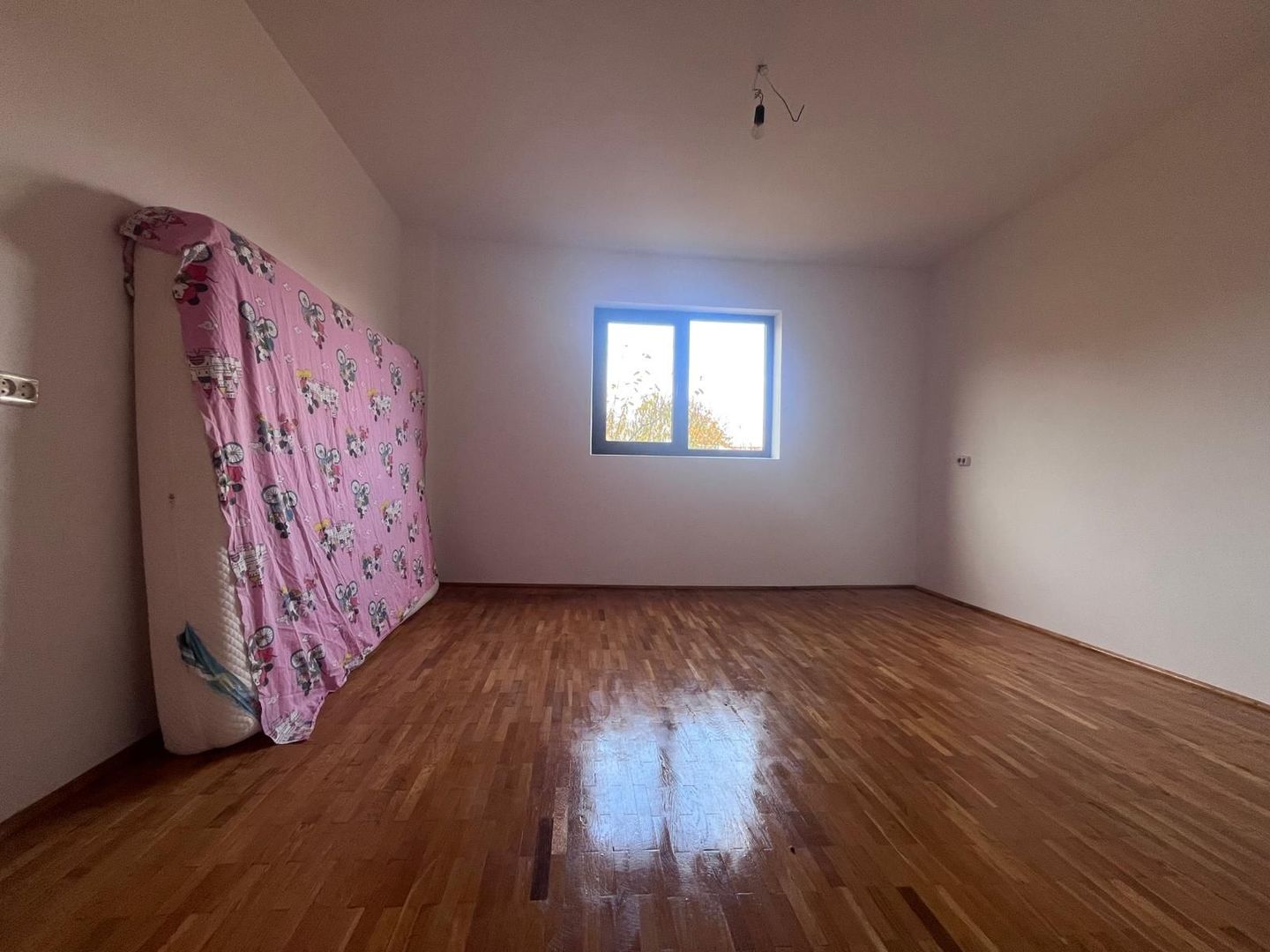 Vanzare casă spațioasă cu teren generos în Cândești Vale–jud Dambovita - Poză 7