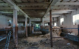 Hale disponibile 1400 mp I Teren 6000 mp I Utilități I Apoldu - Poză 5