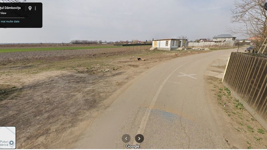 1.200 mp I CREVEDIA - SAMURCASI I UTILITATI IN ZONA I COMISION 0% - IMOZONE - Poză 3