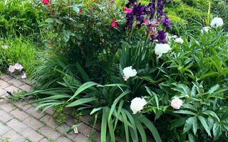 Casa individuala cu pozitie centrala, teren 1140 mp - Sanmihaiu Roman - Poză 17