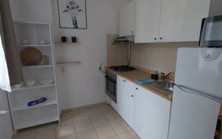 Apartament de închiriat cu 1 cameră în zona Parcul Feroviar și Gară - Poză 4