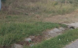 Pachet terenuri | Acces sosea | Lădești – Vâlcea - Poză 6