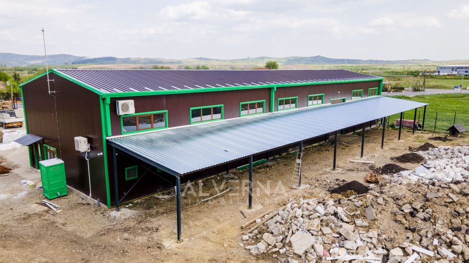 Hala industriala 465mp + anexa | teren 7162mp | front 95ml | Rascruci - Poză 7