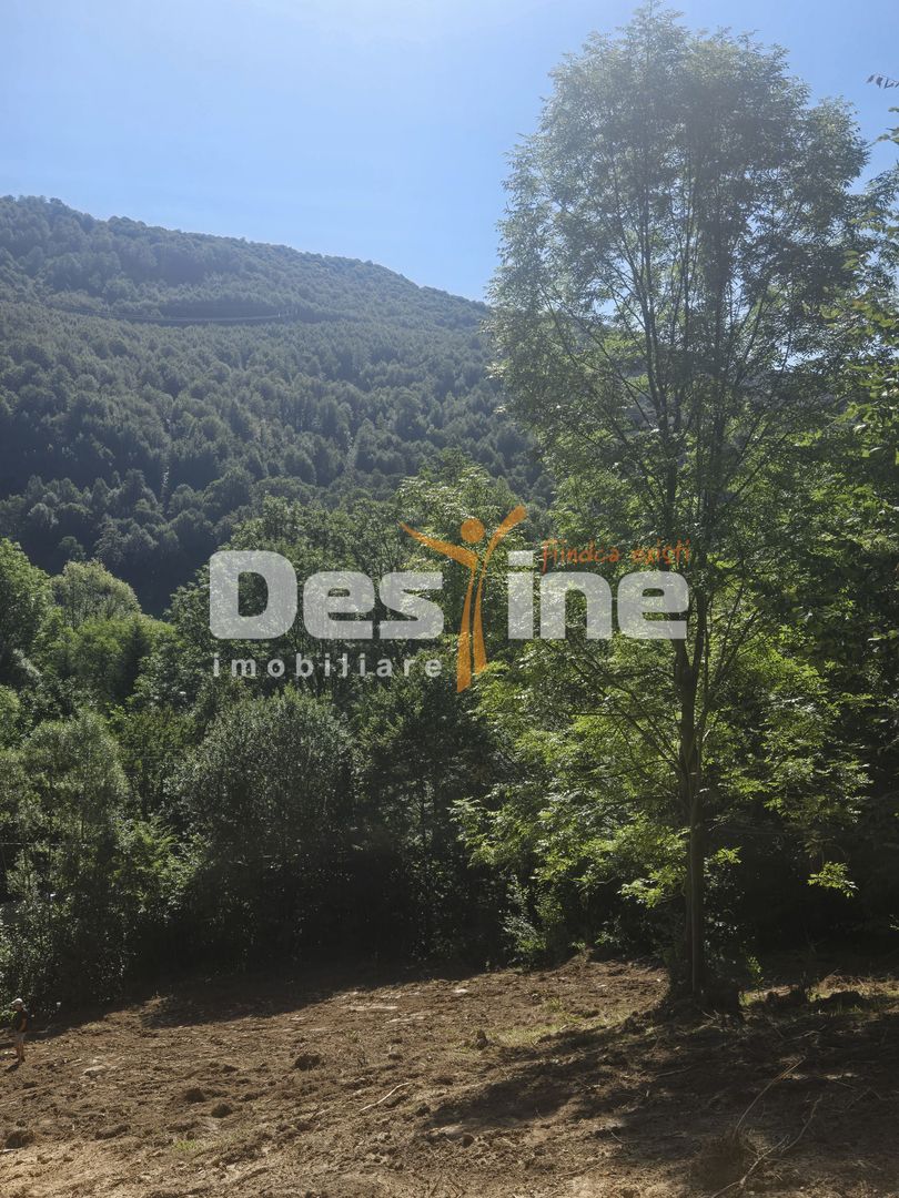 Teren Valea Doftanei,  zona Pe Vale - Baraj Paltinu - Poză 5