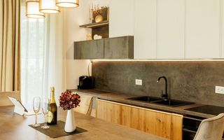 The Ivy - 4 camere - curte - nou - mobilat și utilat - Poză 11