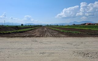 Terenuri Intravilane  Harman - Poză 19