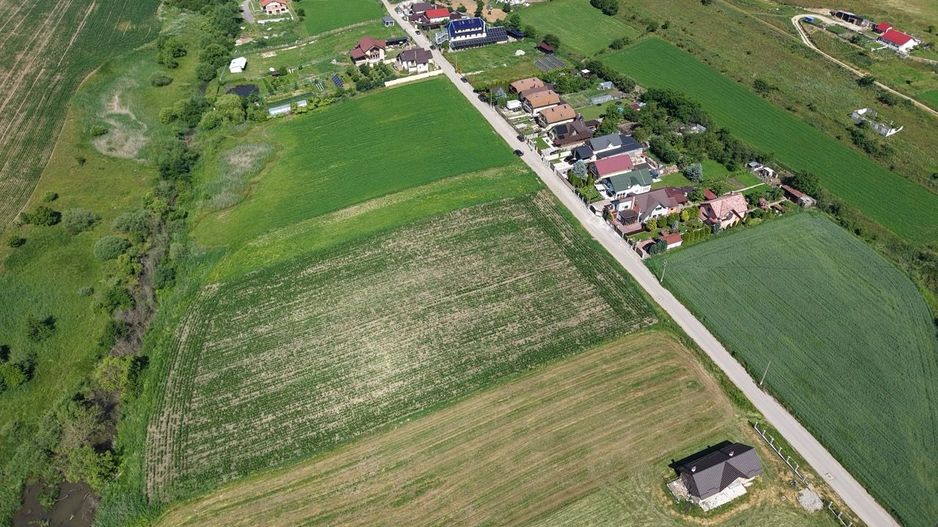 Teren intravilan 10.000 mp, Rotbav (Feldioara) - Poză 11