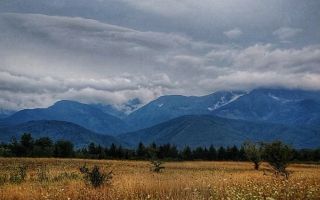 Teren Intravilan | 1000 MP | Valea Avrigului - Poză 3