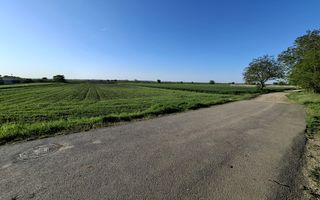 DÂRZA - TEREN INTRAVILAN - Poză 4