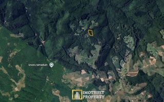 De vânzare teren extravilan  8,2037 ha pădure și pășune Borod, Bihor - Poză 4