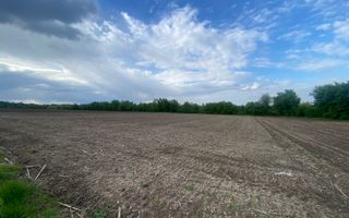 Teren Extravilan | 50 Ari | Horodnic De Jos - Poză 1