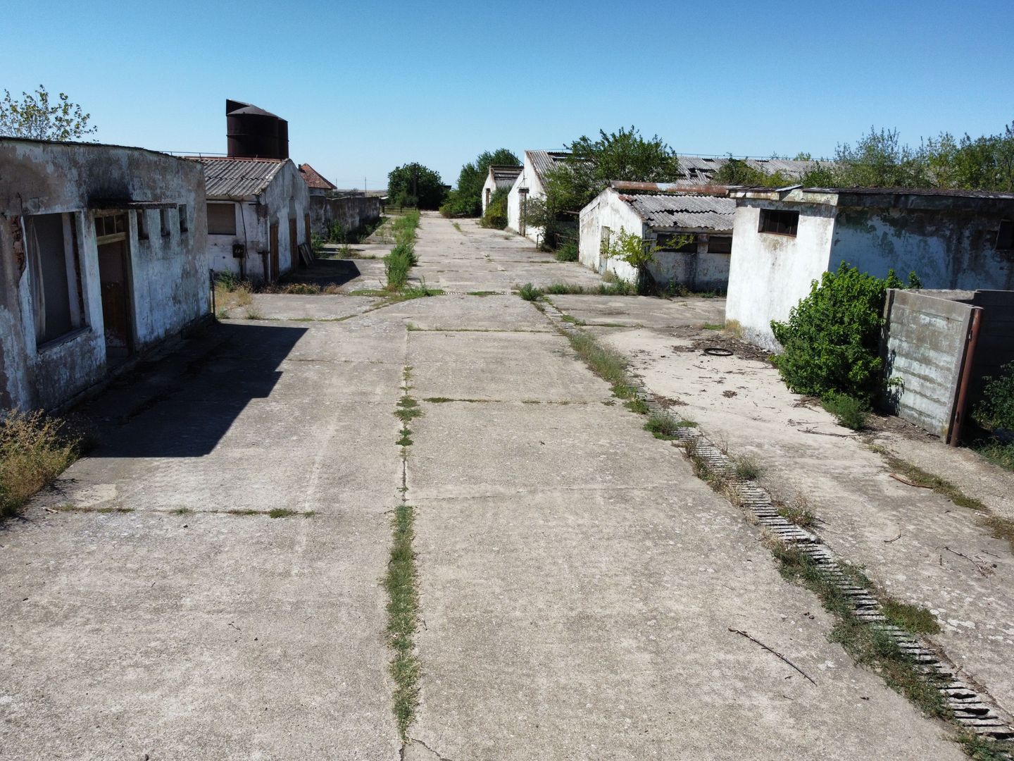 Spațiu industrial -fermă Orțișoara - Poză 12
