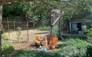 English garden, Sabareni padurea Cereanca - Poză 2