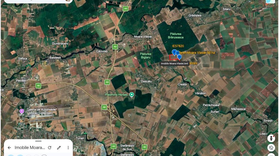 Teren intravilan 50,5 ha – Moara Vlăsiei - Poză 8