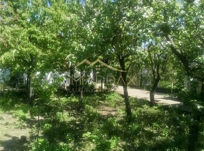 Vila 9 camere***gradina cu pomi fructiferi//1085 mp teren***Dragomiresti-Deal - Poză 17