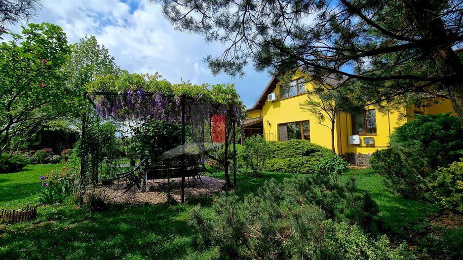 Vila cu gradina impresionanta | Prosumator | Tancabesti - Poză 6