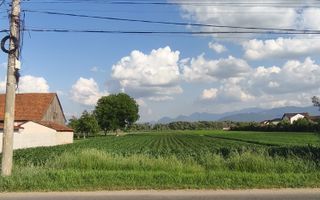 teren intravilan 700mp str. Fagurului, Stupini - Poză 1