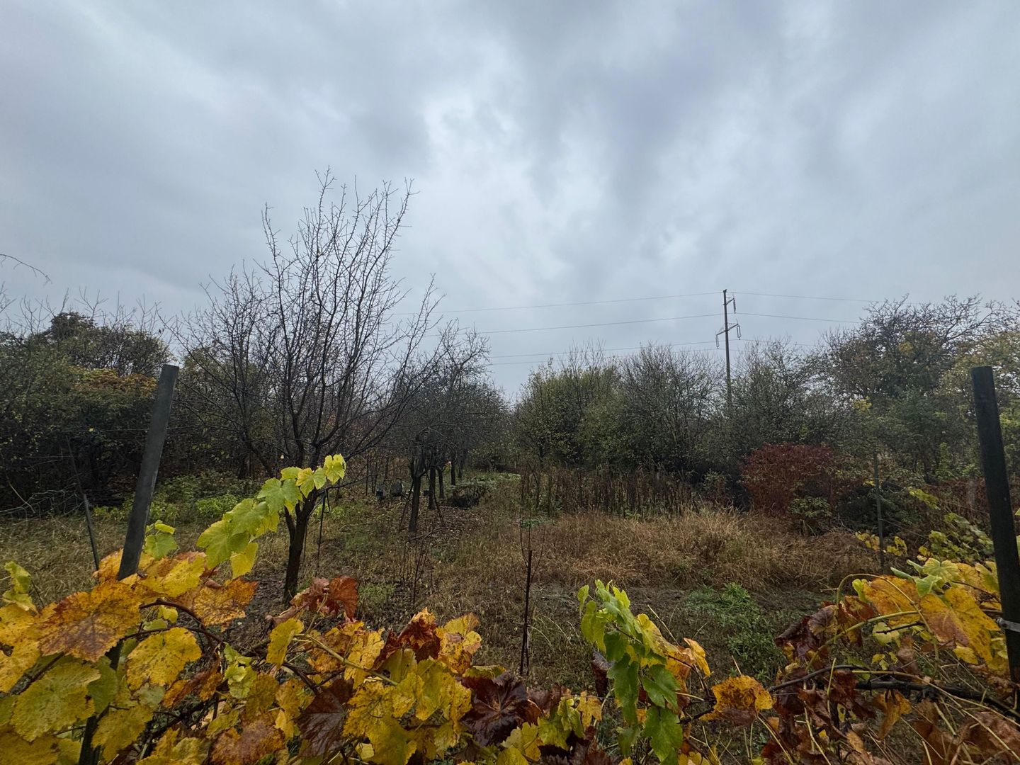 COMISION 0% | 2 Case Individuale | Zona Freidorf | 5 Camere | - Poză 22