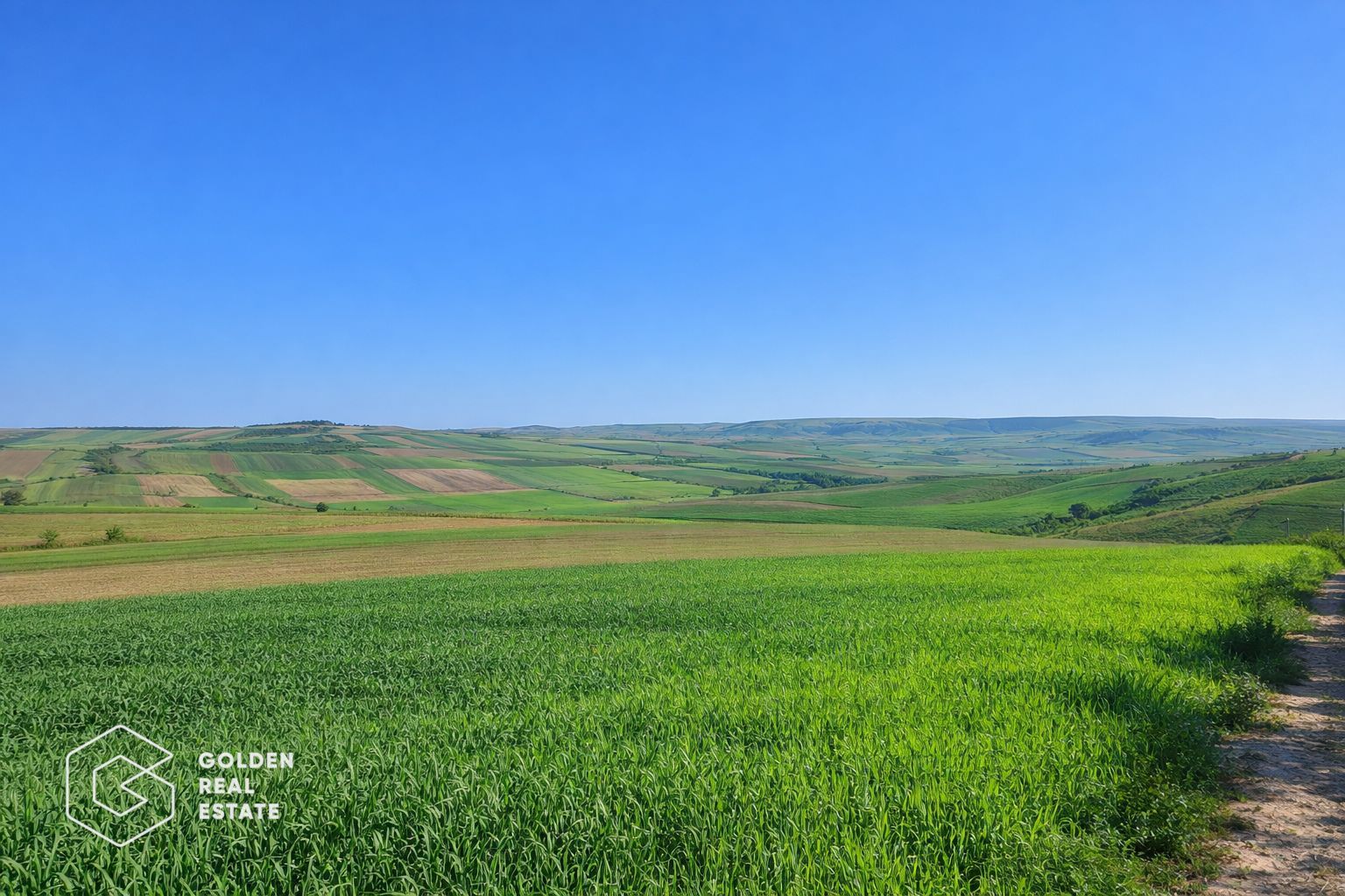 Teren extravilan, categoria ,,vie'', Cuvin - Poză 1