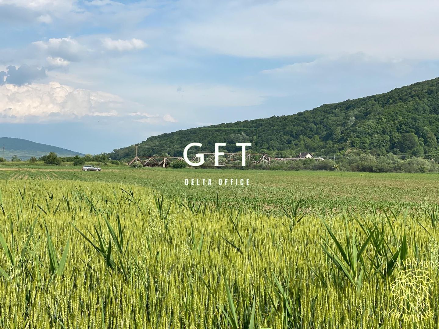 Teren -4.300 mp - Arabil - Chintelnic - Poză 6