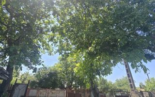 Teren 1.700 mp Verseni, Miroslovesti (Iasi) - Asfalt, Curent, Gaz, Apa - Poză 2