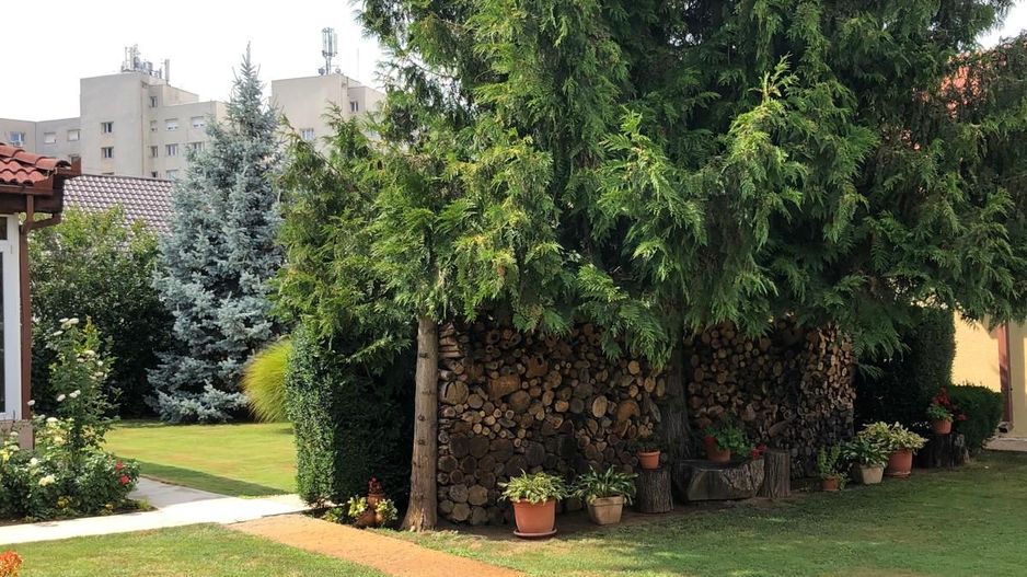 BRASADAS vinde casa cu 7 camere si teren 1100mp in zona Burdea. - Poză 19