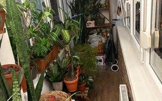 Apartament 2 camere Sagului - Poză 8