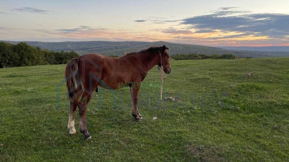 Teren Pietrarie, langa padure, vedere minunata, 1100 mp - Poză 2
