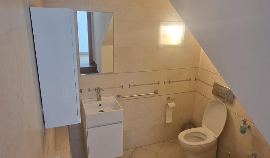 VILA CU PISCINA| DE INCHIRIAT | PIPERA | EROU IANCU NICOLAE - Poză 18