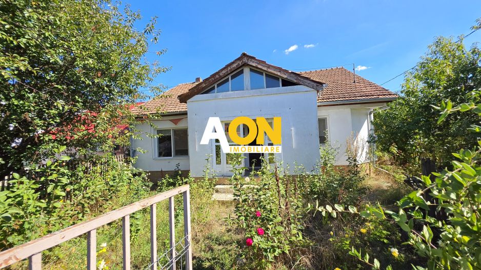 Casa individuala 3 camere, 323 mp teren,  Centru, zona Lipoveni - Poză 1
