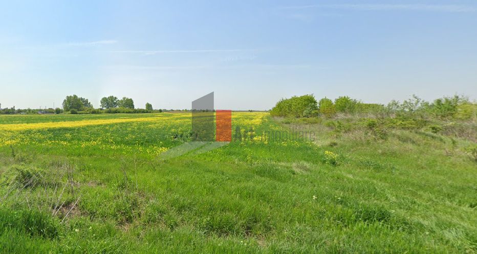 Teren adiacent Aerodrom Clinceni - Poză 2