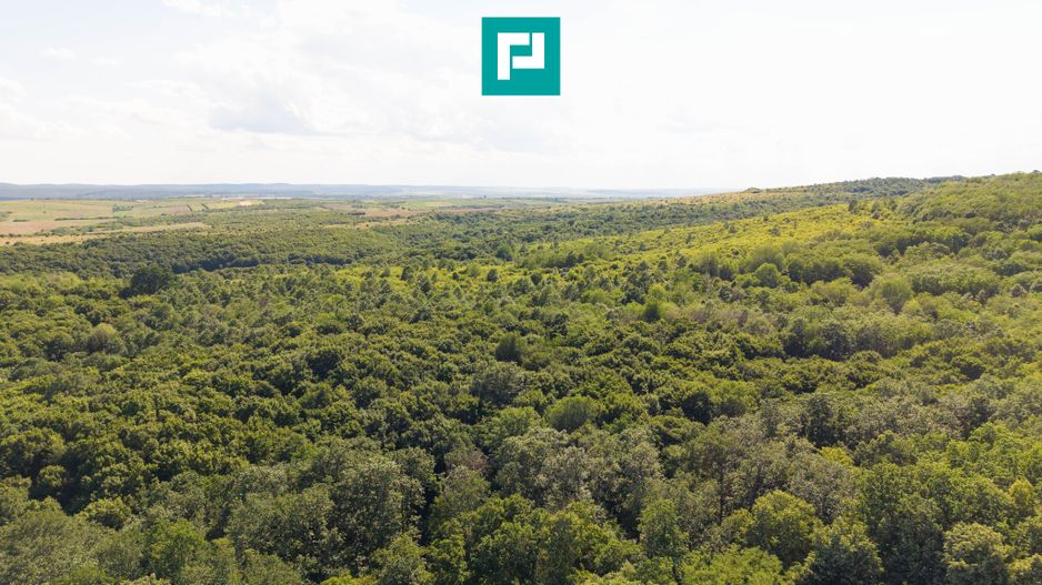 TEREN AGRICOL EXTRAVILAN  22.900 MP LIPOVA - Poză 7