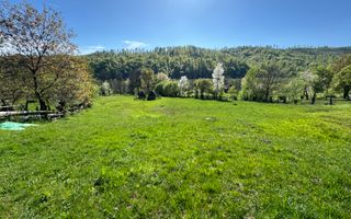 TEREN INTRAVILAN 2592 MP,  ALBESTI DE MUSCEL, ARGES - Poză 10