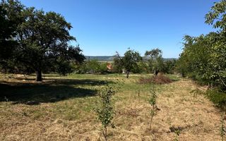 Teren Intravilan de Vânzare în Picioru Lupului - Poză 4