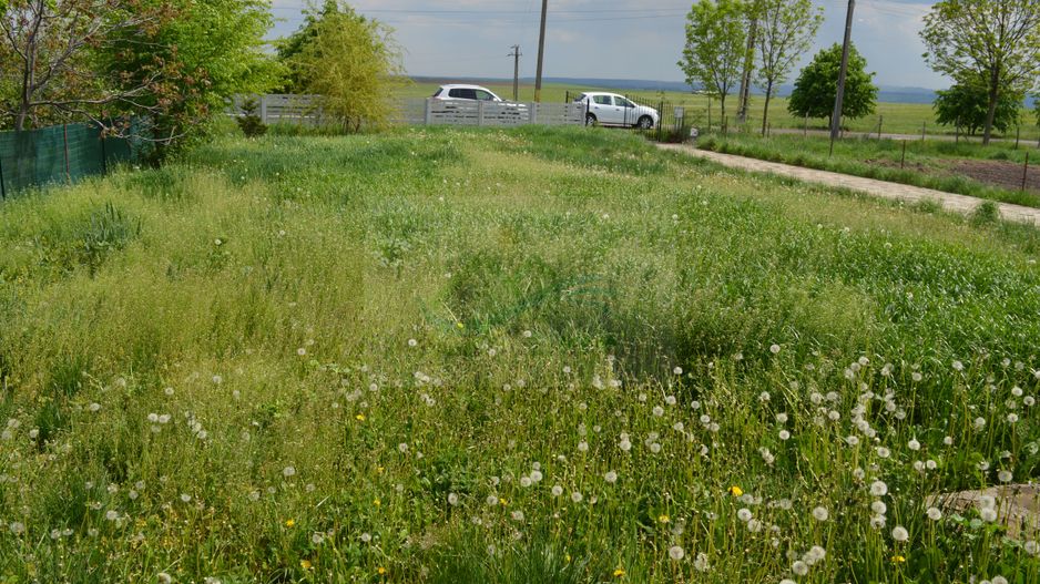 Casă de vânzare Măzănăești/Suceava - Poză 6