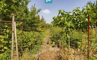 Casă cu livadă de pomi în Dorobanți - Poză 21