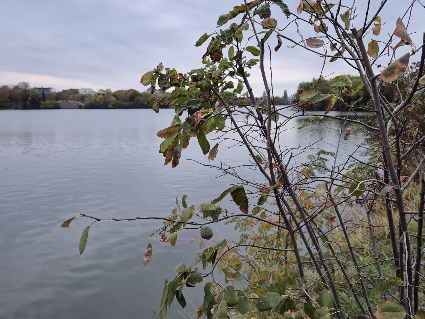 Green Lake | Lacul Baneasa | Sisesti | Vila cu 4 apartamente - Poză 14