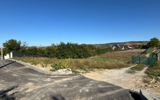 TEREN INTRAVILAN 1.000 mp, VASLUI - zona Moara Grecilor; - Poză 3