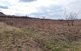 Teren intravilan de vanzare in Limba - Poză 3