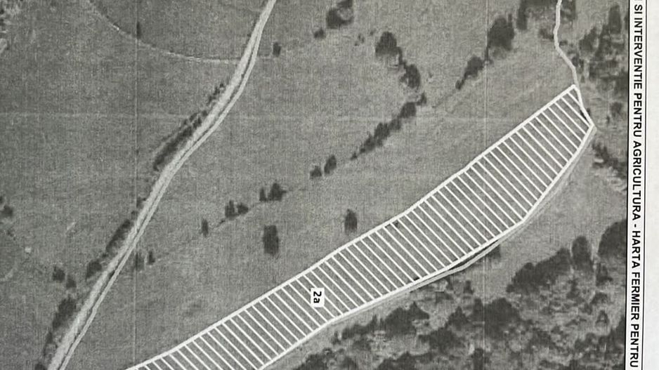 Proprietar vand teren extravilan 2ha, PANORAMA SUPER, Poiana Marului - Poză 8