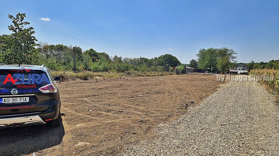AZURA Imobiliare - Teren Mosoaia Dealul Viilor langa Padure - Poză 5