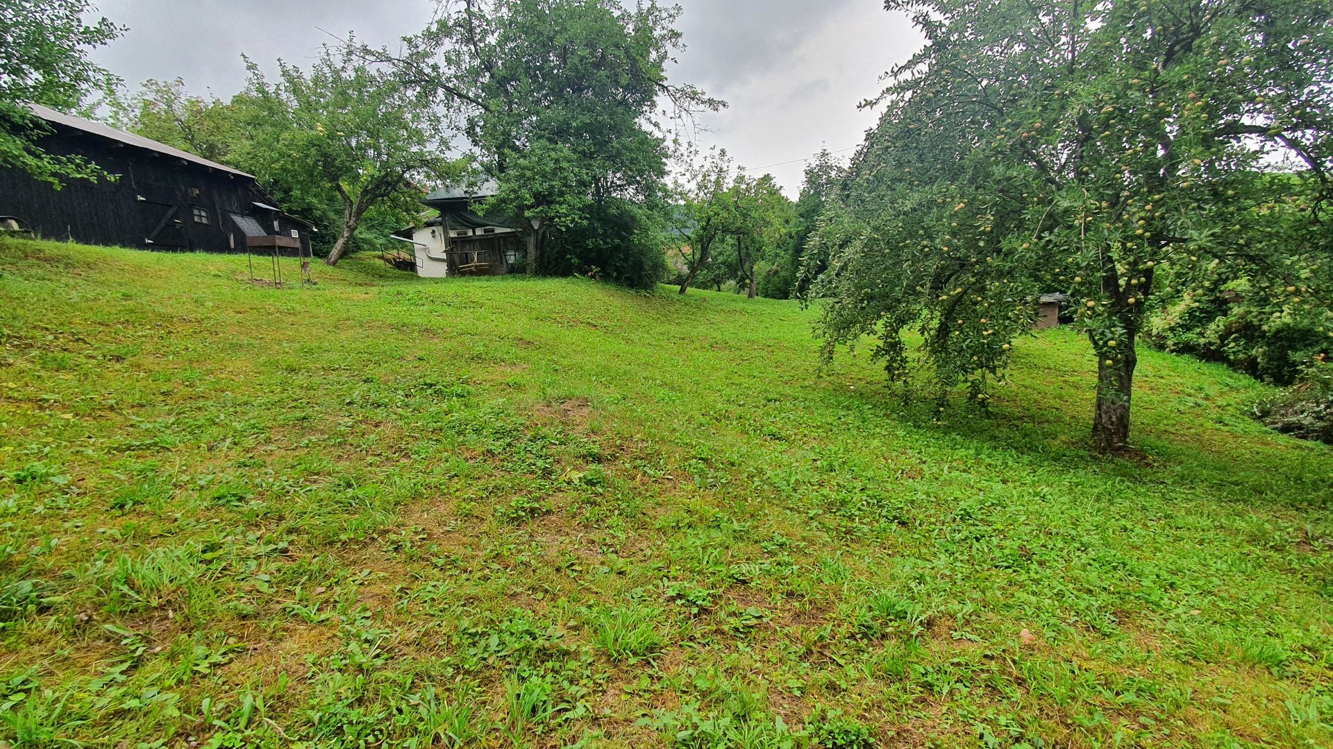 Schei gradina +casa de vacanta,  intre case,front pe trei parti - Poză 9