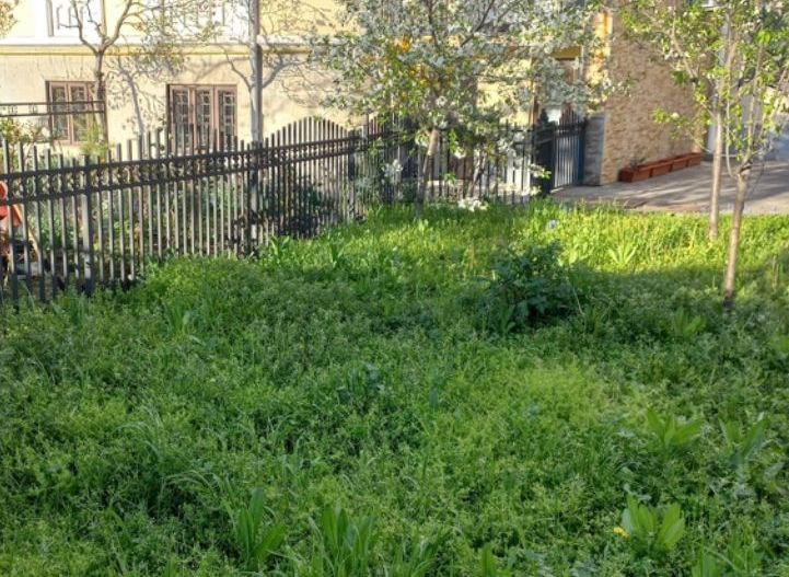 Spațiu birouri Timpuri Noi T517 - Poză 3