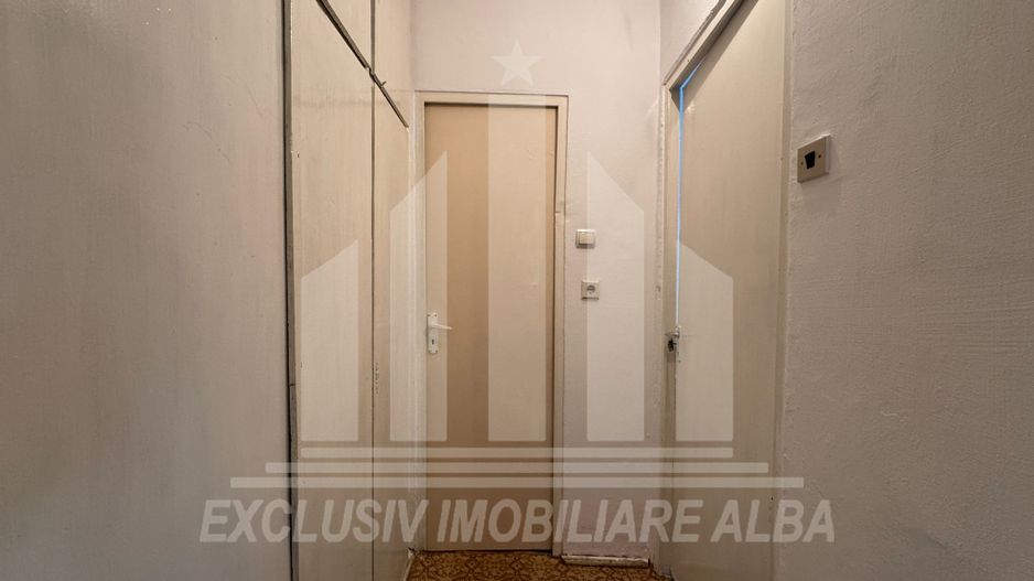 Apartament cu 2 camere de vanzare, Cetate - Poză 3